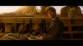 FANTASTIC BEASTS AND WHERE TO FIND THEM Movie Clip  -  Hogwash