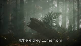 Harvest - Intro and preachers (Lyrics)