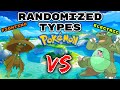 30 minutes to catch pokemon with randomized types then we fight