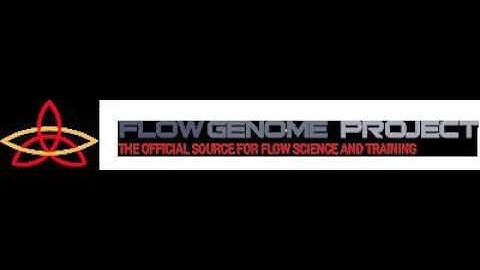 The Neuroscience of Flow States with Steven Kotler