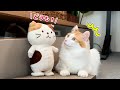 吾輩は猫である