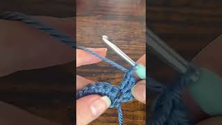 Shell Stitch Crochet Tutorial #diy #viral #short #shorts #crochet #tutorial