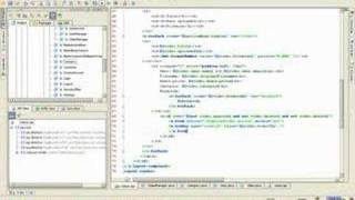 Time-lapse software development