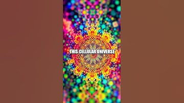 The Silent Revolution of Cellular Automata