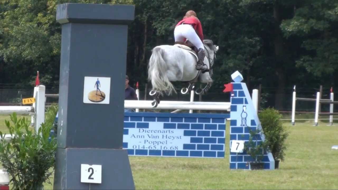 Pand & Paard s Annina Z 1.35m jump-off 1st place! (Animo II Z x Carthago Z x Ramiro Z)