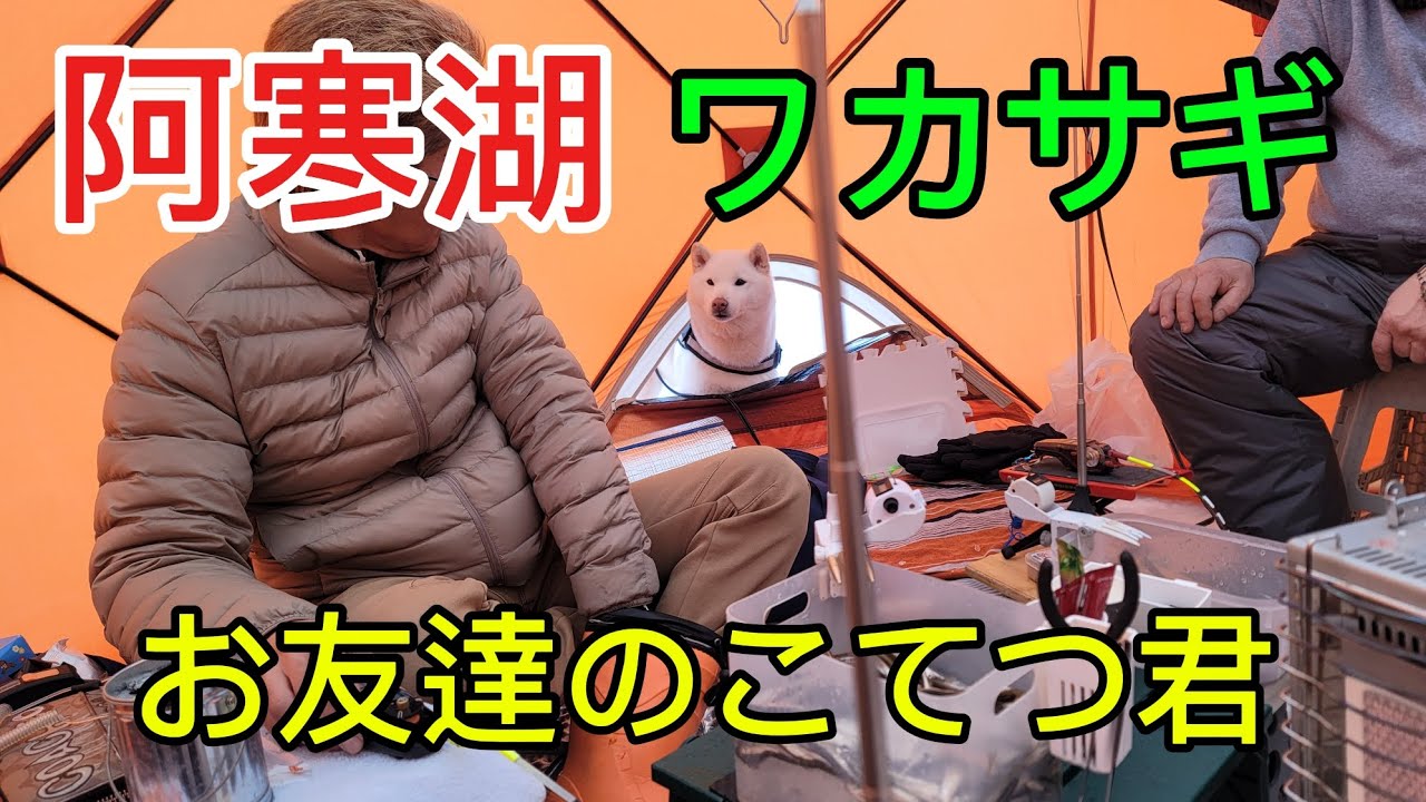 「北海道釣り」阿寒湖ワカサギ