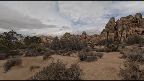 Exploring Hidden Valley Trail In Joshua Tree