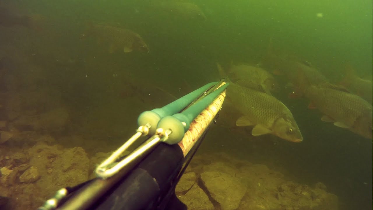 видео уроки по подводной охоте для новичков