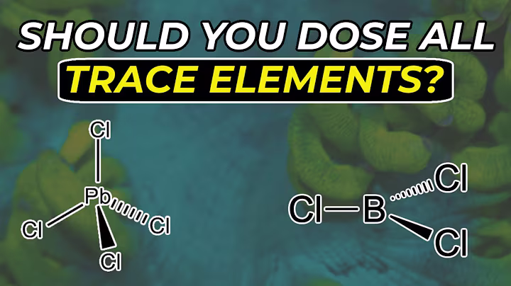 A Deep Dive Into Reef Tank Chemistry, Trace Elements, and More!