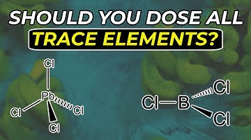 A Deep Dive Into Reef Tank Chemistry, Trace Elements, and More!