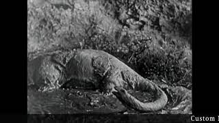 Toho Bombastico - Music Score By Mody Company