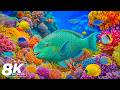 Dreamlike Underwater World 8K ULTRA HD — Peaceful Marine Creatures &amp; Relaxation Music