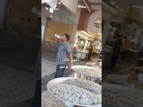 ر د دلتون شاد بازارماهی بوشهر