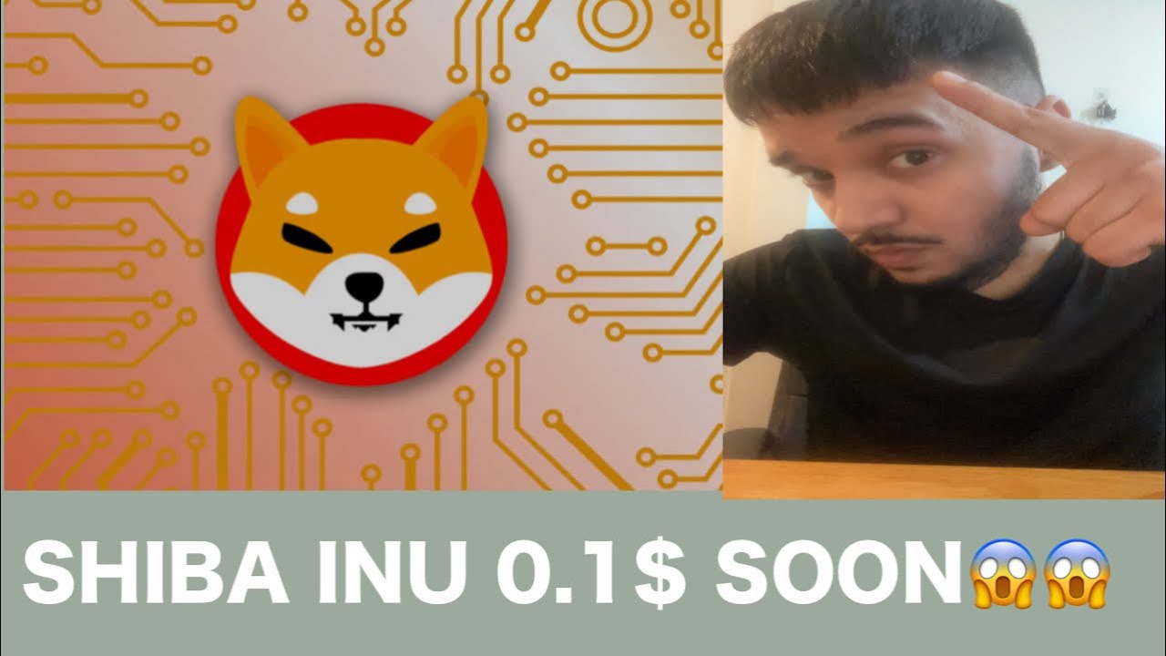 Will Shiba Inu Hit 0 1 Dollars Shiba Inu Update Shiba Inu Price will-shiba-inu-hit-0-1-dollars-shiba-inu-update-shiba-inu-price