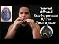 Ocarina peruana 8 furos, tutorial #notas# Passo a passo