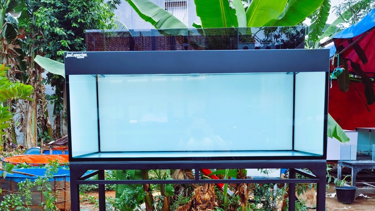 aquarium 120x50x50 10mm sistem top filter atas model sabuk turun YouTube