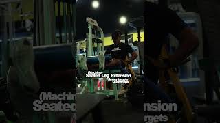 Seated Leg Extension Machine