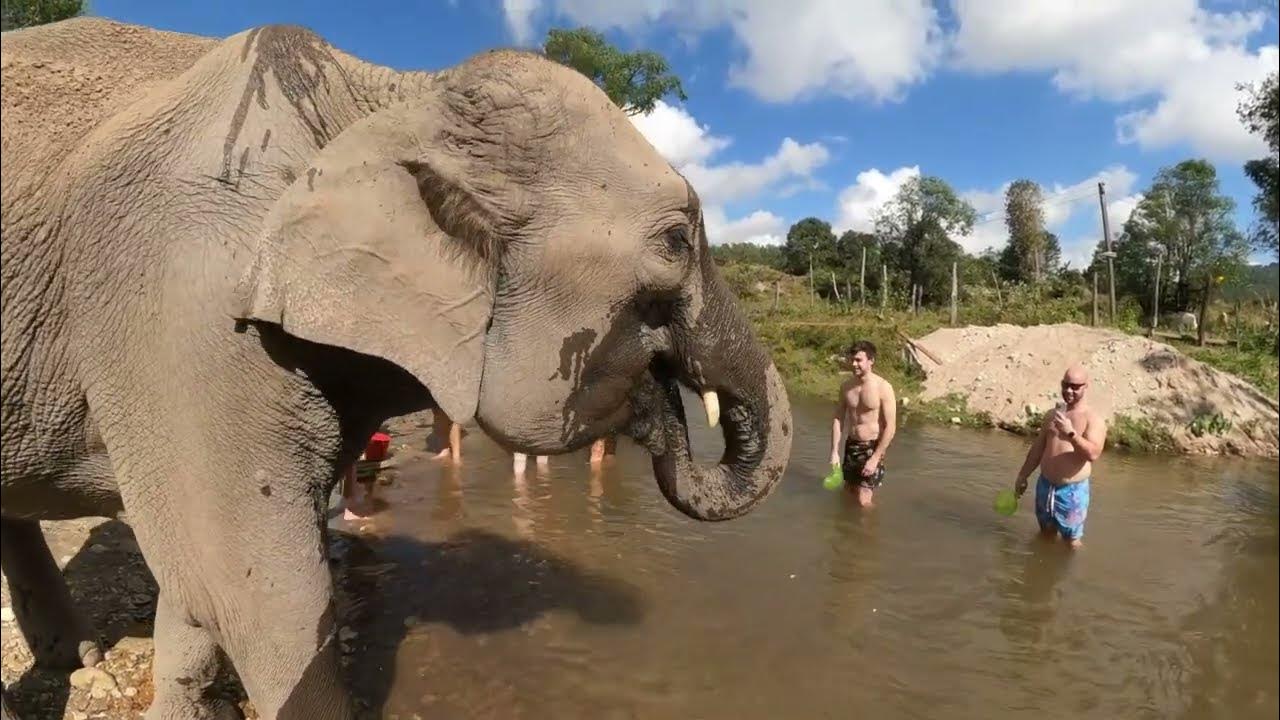 One Day in Chiang Mai YouTube