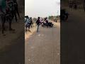 Dog race kolhapur || kolhapur dog racing|| dog racing maharastra|| #shortsvideo #youtubeshorts