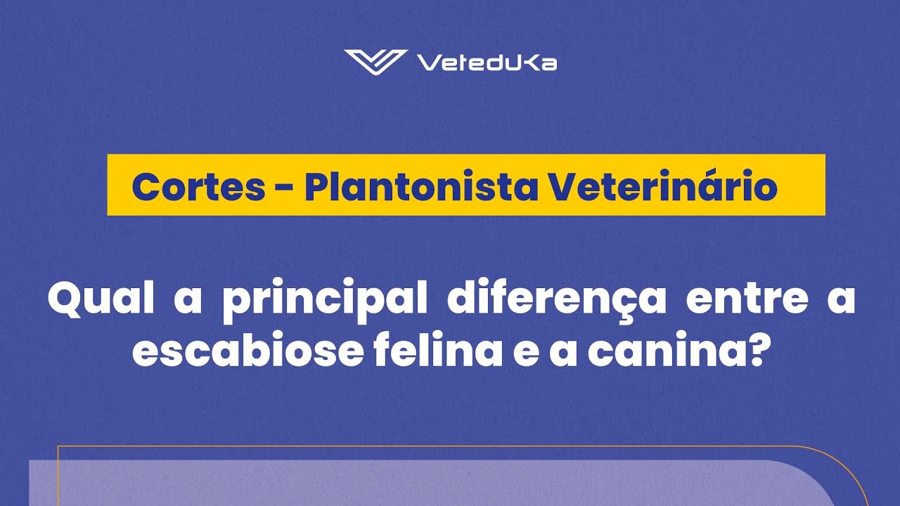Qual a principal diferença entre a escabiose felina e a canina ...