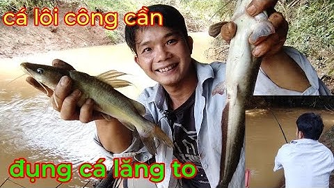 câu cá suối tự nhiên ,một ngày may mắn đụng cá lăng ,cá trê ,cá chốt bò,cá kéo công cần rít cước