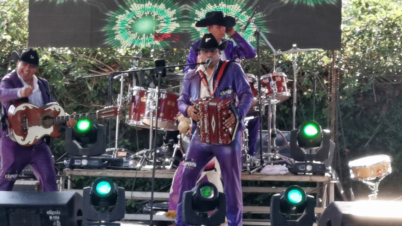 El hijo de la chingada Los Capos de México 🇲🇽 YouTube