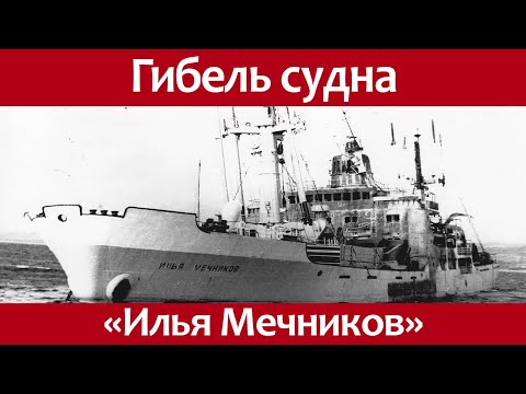 Видео: Египетийн зочид буудлууд: 4 * эсвэл 5 * сонгоно уу