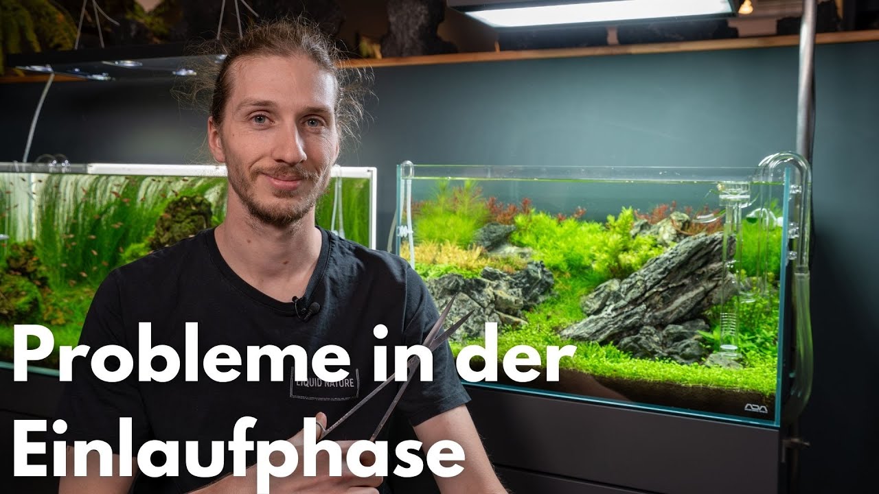 Probleme in der Einlaufphase! Pflanzen schmelzen und erster Rückschnitt!