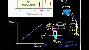 Detecting Proteins at 280 nm by UV-Vis: Why? How?