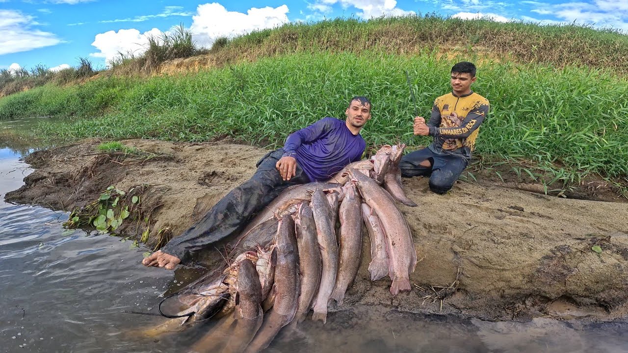 INFESTAÇÃO DE BAGRES AFRICANOS INVADIRAM O RIO !