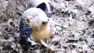 Der Winter ist gekommen 02012016