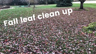 Fall leaf cleanup with a zero turn and bagger