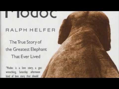 modoc elephant true story