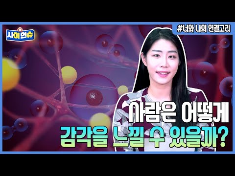 [사이언슈] 우리는 감각을 어떻게 전달할까?
