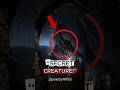 “Top 5 Animals That Live in Caves (Some Never Come Out )”