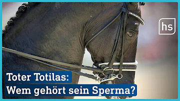 Was kostet der Samen von Totilas?