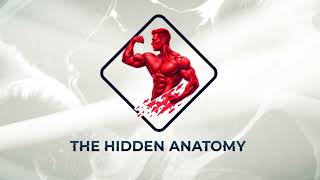 The Hidden Anatomy Intro