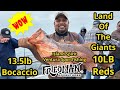 The island spirit from ventura sportfishing heads to the land of the giant rockfish with fa