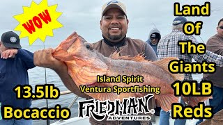 best reels for fishing with crankbaits Bass Fishing Gear Review! New Rods, Reels, Swimbaits, Crankbaits and Soft  Plastics!