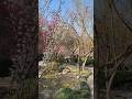 Actually so beautiful #shorts #ytchannel #nature