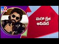 Director locked for Bellamkonda Srinivas' Hindi debut?