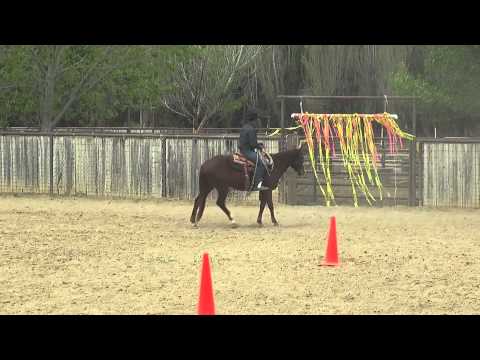 NICS MOJO: Monty Roberts Willing Partners(TM)