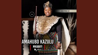 Zulu salwanempi