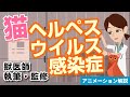 猫ヘルペスウイルス感染症について【獣医師執筆監修】症状から治療方法まで