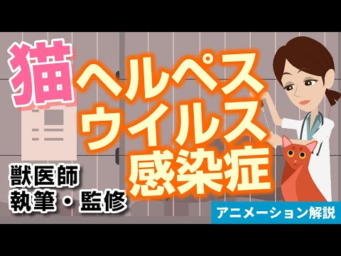 猫ヘルペスウイルス感染症【獣医師執筆監修】症状から治療方法まで