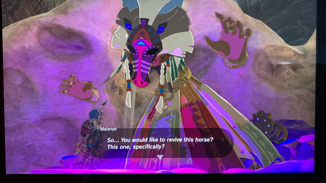 The Legend Of Zelda (BOTW)Revive Horse/ Giant Horse/Master Sword