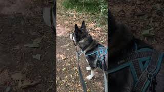 Sunday afternoon walk