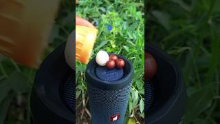 jbl bass test with black and white gol chocolate sugar and jbl deep bass test
