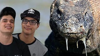 DRAGÃO DE KOMODO, O LAGARTO GIGANTE - PREDADORES MORTAIS