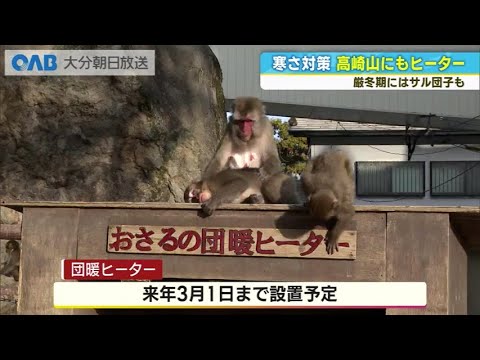 Winter preparations begin at Takasakiyama. Keep an eye on